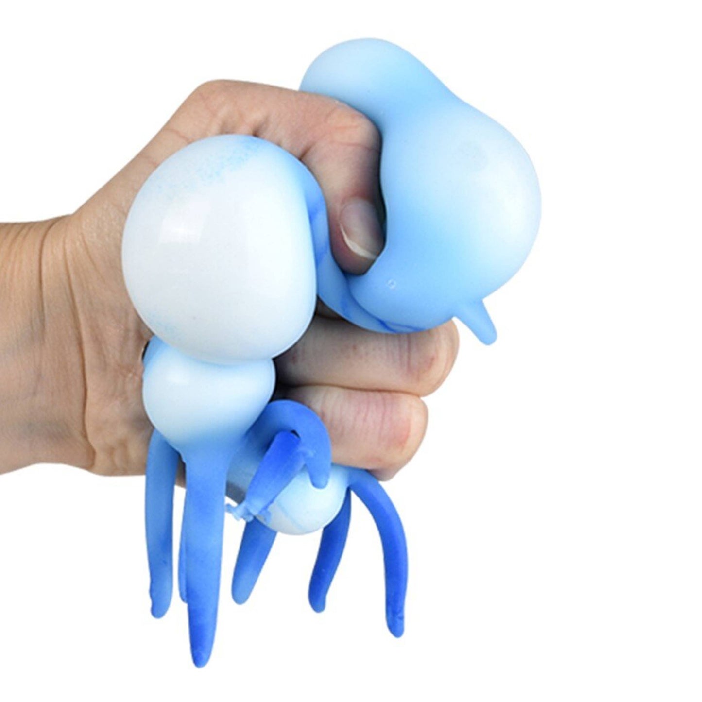 Stretchy Squid